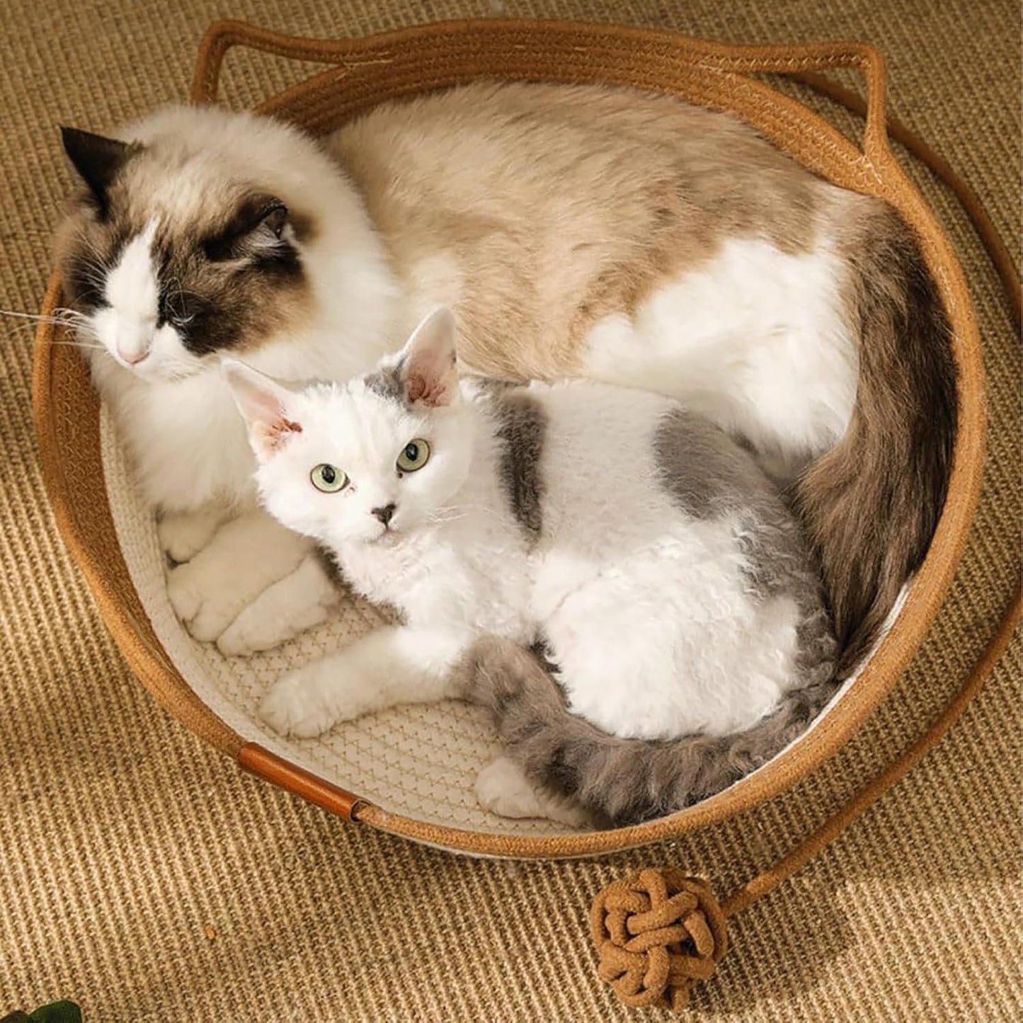 The "Haven" Woven Cat Nest