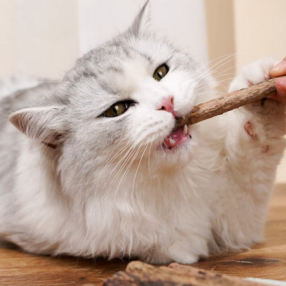The "Zen" Stick
