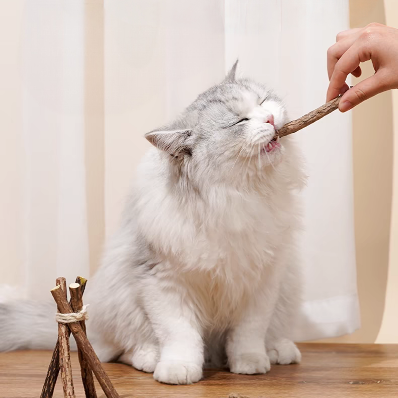 The "Zen" Stick